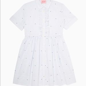 Kate Spade Pinstripes and Micro Hearts Shirt Dress